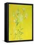 Lillies on Yellow-David Alan Redpath Michie-Framed Stretched Canvas