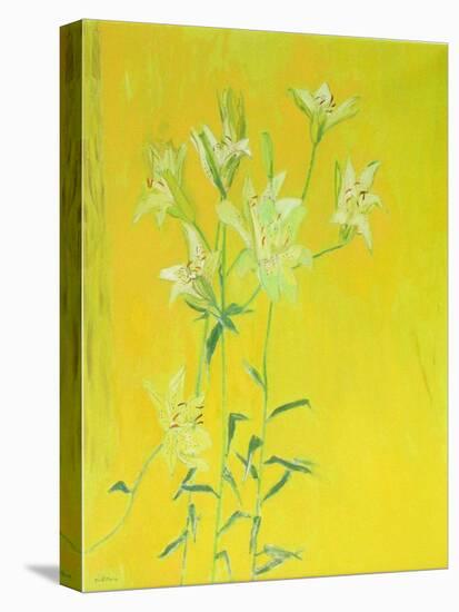 Lillies on Yellow-David Alan Redpath Michie-Stretched Canvas