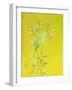 Lillies on Yellow-David Alan Redpath Michie-Framed Giclee Print