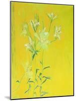 Lillies on Yellow-David Alan Redpath Michie-Mounted Giclee Print