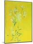 Lillies on Yellow-David Alan Redpath Michie-Mounted Giclee Print