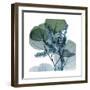 Lilly of Eucalyptus 2-Albert Koetsier-Framed Premium Giclee Print