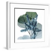 Lilly of Eucalyptus 2-Albert Koetsier-Framed Premium Giclee Print