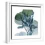 Lilly of Eucalyptus 2-Albert Koetsier-Framed Premium Giclee Print