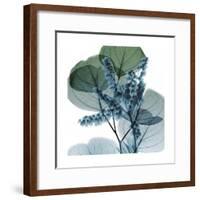 Lilly of Eucalyptus 2-Albert Koetsier-Framed Premium Giclee Print