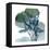 Lilly of Eucalyptus 2-Albert Koetsier-Framed Stretched Canvas