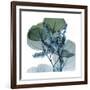 Lilly of Eucalyptus 2-Albert Koetsier-Framed Premium Giclee Print