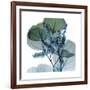 Lilly of Eucalyptus 2-Albert Koetsier-Framed Premium Giclee Print