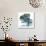 Lilly of Eucalyptus 2-Albert Koetsier-Premium Giclee Print displayed on a wall