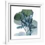 Lilly of Eucalyptus 2-Albert Koetsier-Framed Premium Giclee Print