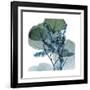 Lilly of Eucalyptus 2-Albert Koetsier-Framed Premium Giclee Print