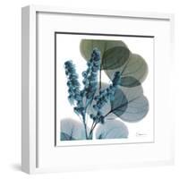 Lilly Of Eucalyptus-Albert Koetsier-Framed Art Print