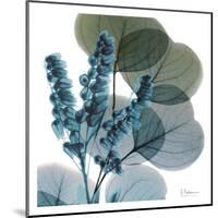 Lilly Of Eucalyptus-Albert Koetsier-Mounted Art Print