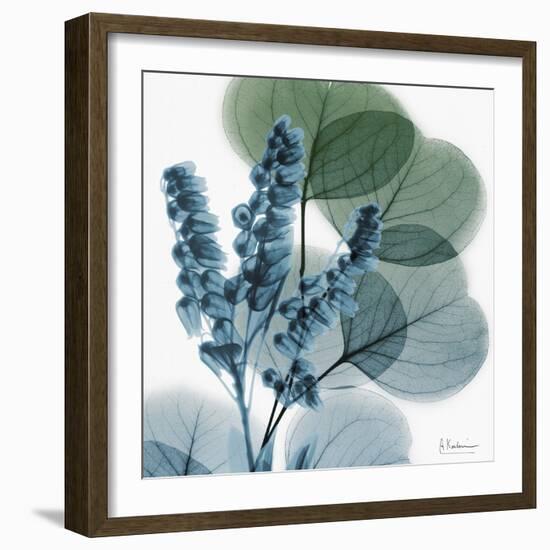 Lilly of Eucalyptus-Albert Koetsier-Framed Premium Giclee Print