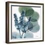 Lilly of Eucalyptus-Albert Koetsier-Framed Premium Giclee Print