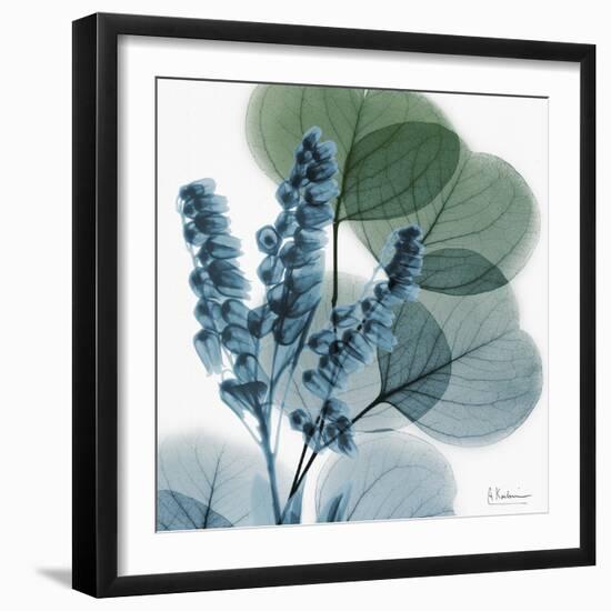 Lilly of Eucalyptus-Albert Koetsier-Framed Premium Giclee Print