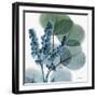 Lilly of Eucalyptus-Albert Koetsier-Framed Premium Giclee Print