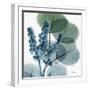 Lilly of Eucalyptus-Albert Koetsier-Framed Premium Giclee Print