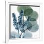 Lilly of Eucalyptus-Albert Koetsier-Framed Premium Giclee Print