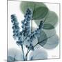 Lilly of Eucalyptus-Albert Koetsier-Mounted Giclee Print