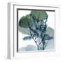 Lilly of Eucalyptus-Albert Koetsier-Framed Art Print