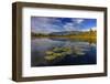 Lilly pads and Swan Range reflects into McWennger Slough, Kalispell, Montana, USA-Chuck Haney-Framed Photographic Print