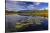 Lilly pads and Swan Range reflects into McWennger Slough, Kalispell, Montana, USA-Chuck Haney-Stretched Canvas