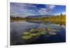 Lilly pads and Swan Range reflects into McWennger Slough, Kalispell, Montana, USA-Chuck Haney-Framed Photographic Print