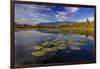 Lilly pads and Swan Range reflects into McWennger Slough, Kalispell, Montana, USA-Chuck Haney-Framed Photographic Print