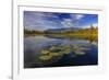 Lilly pads and Swan Range reflects into McWennger Slough, Kalispell, Montana, USA-Chuck Haney-Framed Photographic Print