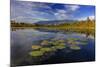 Lilly pads and Swan Range reflects into McWennger Slough, Kalispell, Montana, USA-Chuck Haney-Mounted Photographic Print