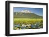 Lilly pads, marsh at Dutchman Flats, near Sparks Lake, Eastern Oregon, USA-Stuart Westmorland-Framed Photographic Print