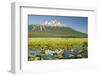 Lilly pads, marsh at Dutchman Flats, near Sparks Lake, Eastern Oregon, USA-Stuart Westmorland-Framed Photographic Print