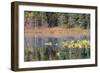 Lilly Pads Reflected in Lake-Latitude 59 LLP-Framed Photographic Print