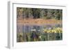 Lilly Pads Reflected in Lake-Latitude 59 LLP-Framed Photographic Print