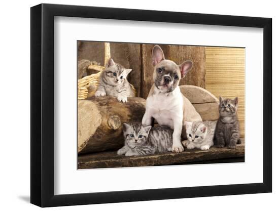 Premium Photographic Print, , large