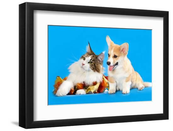 Premium Photographic Print, , large