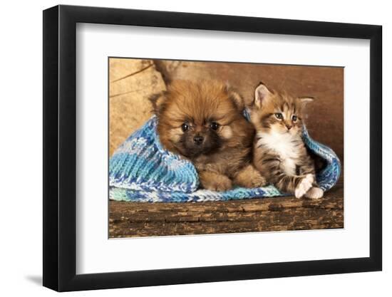 Photographic Print, , large