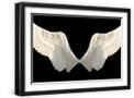 Black Frame