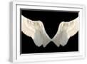 White Frame