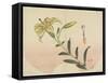 Lily, 1839-Hogyoku-Framed Stretched Canvas