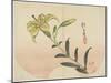 Lily, 1839-Hogyoku-Mounted Giclee Print