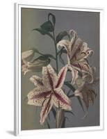 Lily, 1896-Kazumasa Ogawa-Framed Premium Giclee Print