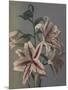 Lily, 1896-Kazumasa Ogawa-Mounted Premium Giclee Print