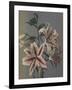 Lily, 1896-Kazumasa Ogawa-Framed Giclee Print