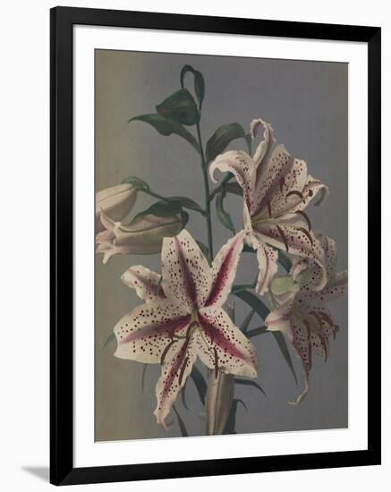 Lily, 1896-Kazumasa Ogawa-Framed Giclee Print