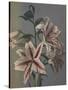 Lily, 1896-Kazumasa Ogawa-Stretched Canvas