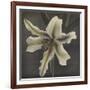 Lily, 1896-Kazumasa Ogawa-Framed Giclee Print