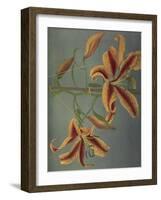 Lily, 1896-Kazumasa Ogawa-Framed Giclee Print