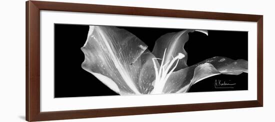 Lily 1-Albert Koetsier-Framed Art Print